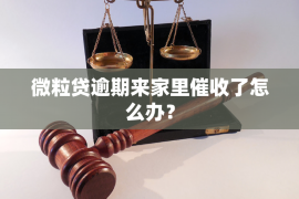 蓬莱专业讨债公司有哪些核心服务？